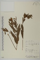 登錄號:S080675藏品圖，第1張