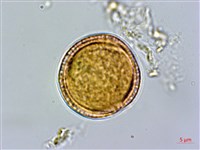 登錄號:S080679藏品圖，第3張