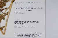 登錄號:S080682藏品圖，第2張