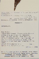 登錄號:S080683藏品圖，第2張