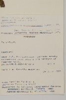 登錄號:S080706藏品圖，第2張