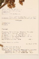 登錄號:S080707藏品圖，第2張