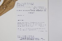 登錄號:S080719藏品圖，第2張