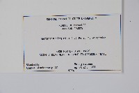 登錄號:S080724藏品圖，第2張