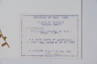 登錄號:S080725藏品圖，第2張