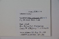 登錄號:S080726藏品圖，第2張