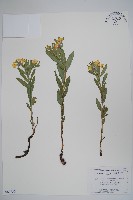 登錄號:S080730藏品圖，第1張