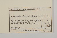 登錄號:S080740藏品圖，第2張