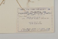 登錄號:S080741藏品圖，第2張