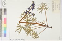 登錄號:S080758藏品圖，第1張