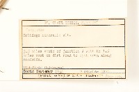 登錄號:S080759藏品圖，第2張