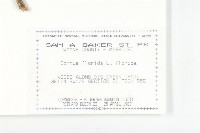 大花四照花藏品圖，第2張