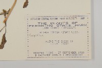 登錄號:S080781藏品圖，第2張