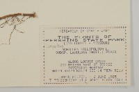 登錄號:S080782藏品圖，第2張