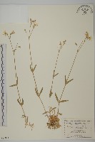 登錄號:S080811藏品圖，第1張