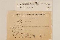 玉山飛蓬藏品圖，第2張