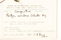 登錄號:S080827藏品圖，第2張