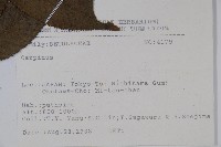 登錄號:S080835藏品圖，第2張