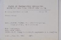 登錄號:S080836藏品圖，第2張