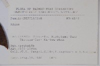 登錄號:S080838藏品圖，第2張