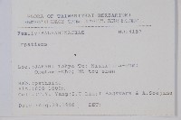 登錄號:S080840藏品圖，第2張