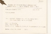 登錄號:S080843藏品圖，第2張