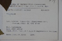 登錄號:S080844藏品圖，第2張