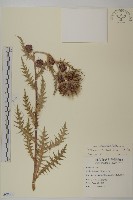 登錄號:S080856藏品圖，第3張