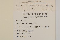 登錄號:S080856藏品圖，第4張