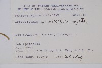 瓜葉馬兜鈴、青木香藏品圖，第2張