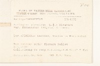 臺灣山菊藏品圖，第2張