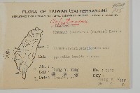 佩羅特木藏品圖，第2張