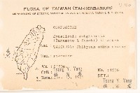 高山破傘菊藏品圖，第2張