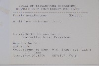 華九頭獅子草藏品圖，第2張