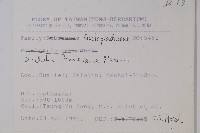 風不動藏品圖，第2張