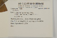 登錄號:S080984藏品圖，第2張