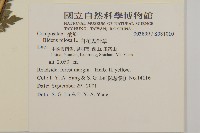 白花鬼針藏品圖，第2張