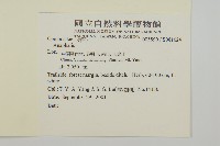 登錄號:S081024藏品圖，第2張