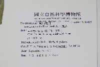 金鳳仙藏品圖，第2張