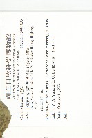 登錄號:S081035藏品圖，第2張