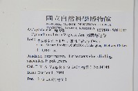 翅果杯冠藤藏品圖，第2張