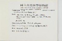 蒼耳藏品圖，第2張