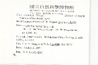 菟絲子藏品圖，第2張