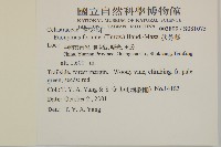 扶芳藤藏品圖，第2張