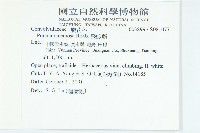 飛蛾藤藏品圖，第2張