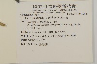 異芒菊藏品圖，第2張