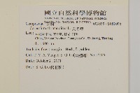 天名精藏品圖，第2張