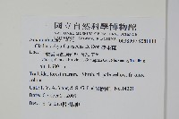 漿果莧藏品圖，第2張