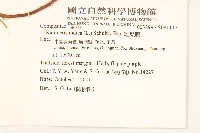 雞兒腸藏品圖，第2張