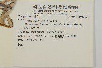 登錄號:S081121藏品圖，第2張